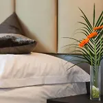 Hotel Cult Frankfurt 4*